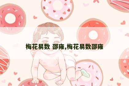 梅花易数 邵雍,梅花易数邵雍