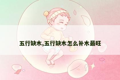 五行缺木,五行缺木怎么补木最旺