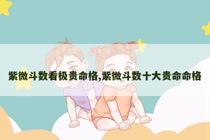 紫微斗数看极贵命格,紫微斗数十大贵命命格