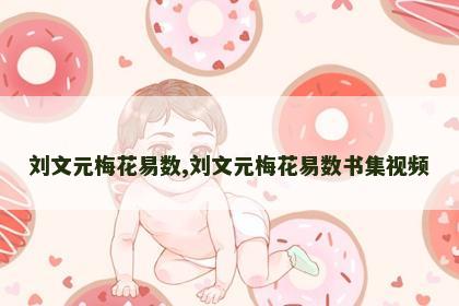 刘文元梅花易数,刘文元梅花易数书集视频