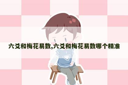 六爻和梅花易数,六爻和梅花易数哪个精准