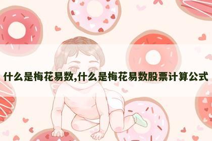 什么是梅花易数,什么是梅花易数股票计算公式