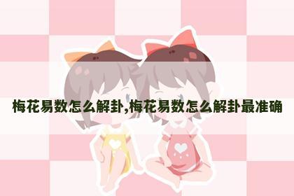 梅花易数怎么解卦,梅花易数怎么解卦最准确