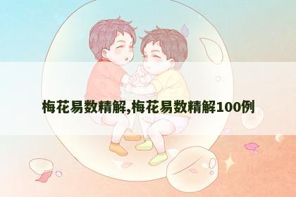 梅花易数精解,梅花易数精解100例