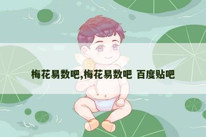 梅花易数吧,梅花易数吧 百度贴吧
