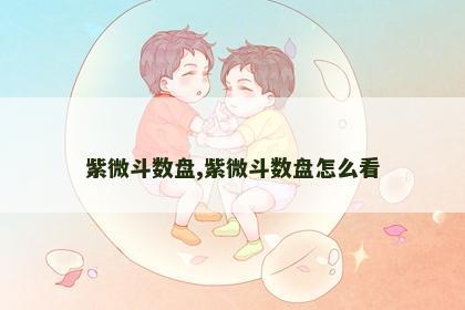 紫微斗数盘,紫微斗数盘怎么看