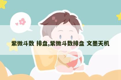 紫微斗数 排盘,紫微斗数排盘 文墨天机