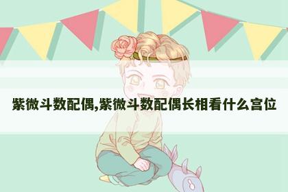 紫微斗数配偶,紫微斗数配偶长相看什么宫位