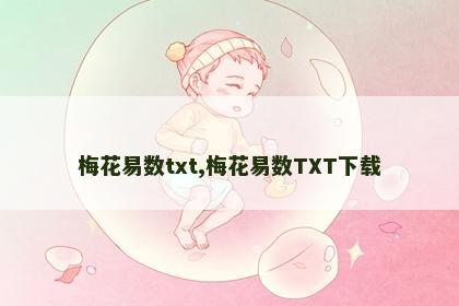 梅花易数txt,梅花易数TXT下载