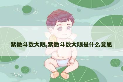 紫微斗数大限,紫微斗数大限是什么意思