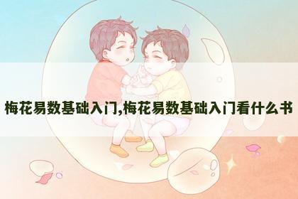 梅花易数基础入门,梅花易数基础入门看什么书