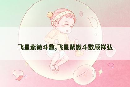 飞星紫微斗数,飞星紫微斗数顾祥弘
