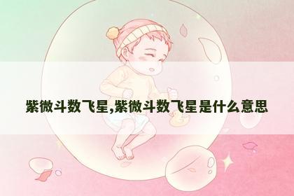 紫微斗数飞星,紫微斗数飞星是什么意思