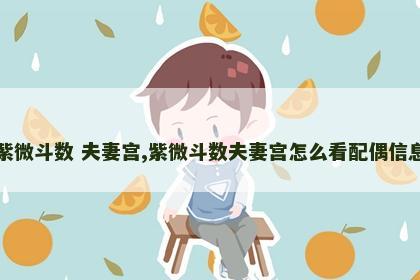 紫微斗数 夫妻宫,紫微斗数夫妻宫怎么看配偶信息