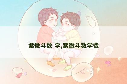 紫微斗数 学,紫微斗数学费