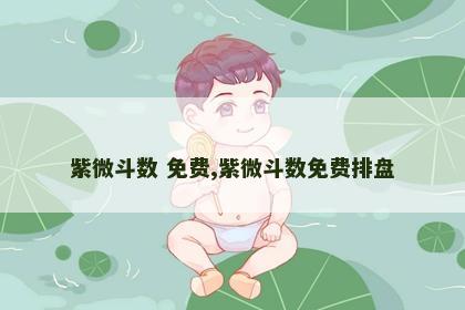 紫微斗数 免费,紫微斗数免费排盘