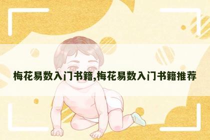 梅花易数入门书籍,梅花易数入门书籍推荐