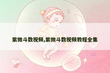 紫微斗数视频,紫微斗数视频教程全集