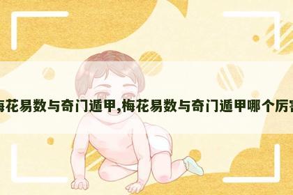 梅花易数与奇门遁甲,梅花易数与奇门遁甲哪个厉害