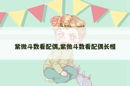 紫微斗数看配偶,紫微斗数看配偶长相