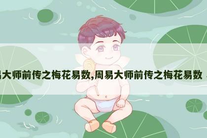 周易大师前传之梅花易数,周易大师前传之梅花易数 小说