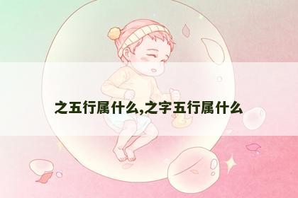 之五行属什么,之字五行属什么
