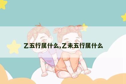 乙五行属什么,乙未五行属什么