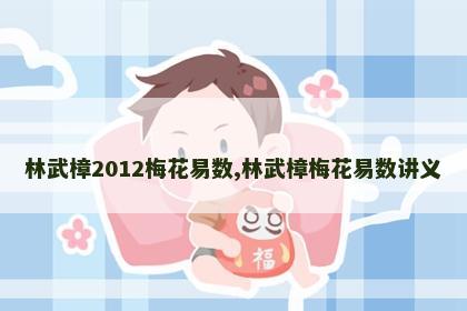 林武樟2012梅花易数,林武樟梅花易数讲义