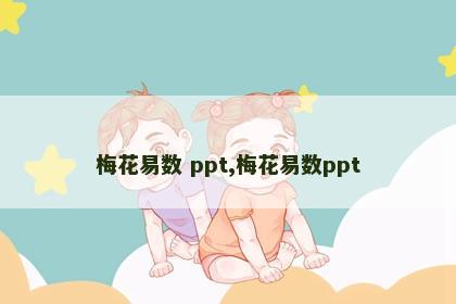 梅花易数 ppt,梅花易数ppt